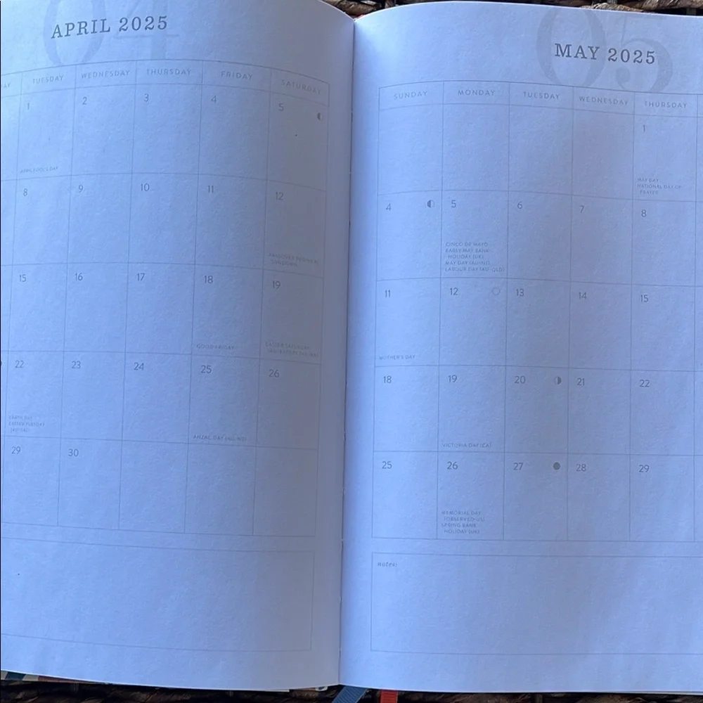Paper Source 2024-2025 Planner with Red and Blue Tulip Design